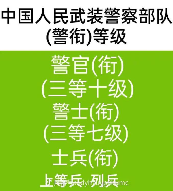 支队长是什么警衔 (支队长是什么级别 警察警衔 支队长是什么级别)