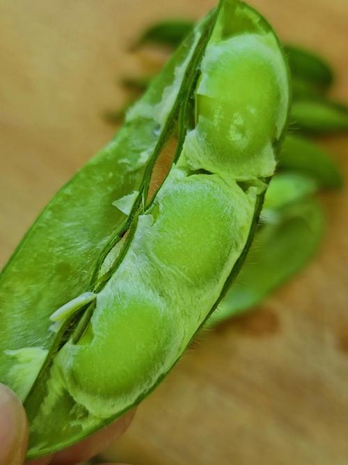 毛豆米没煮熟能吃吗 (毛豆米没煮熟能吃吗 毛豆米没有烧熟吃了会怎么样吗)