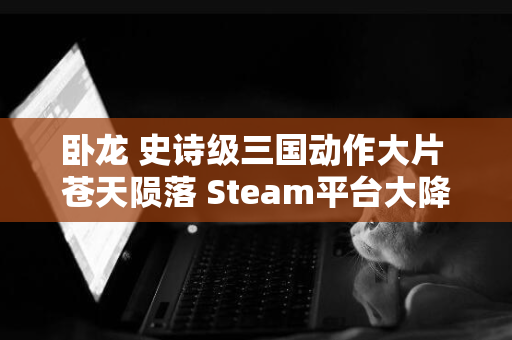 卧龙 史诗级三国动作大片 苍天陨落 Steam平台大降价