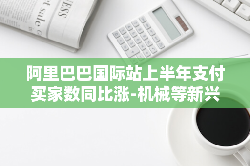 阿里巴巴国际站上半年支付买家数同比涨-机械等新兴行业爆发-30%