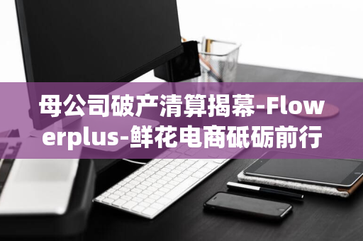 母公司破产清算揭幕-Flowerplus-鲜花电商砥砺前行