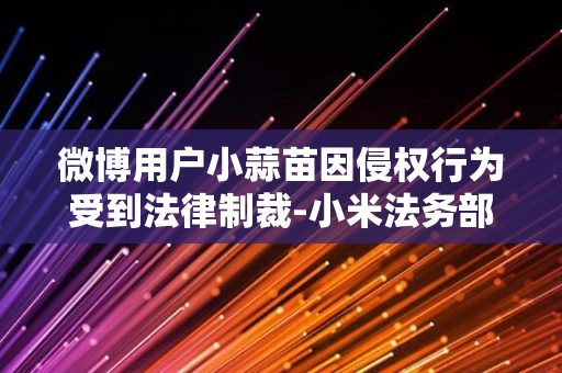 微博用户小蒜苗因侵权行为受到法律制裁-小米法务部起诉胜诉