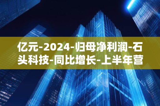 亿元-2024-归母净利润-石头科技-同比增长-上半年营收-44.16-亿元-30.90%-11.21