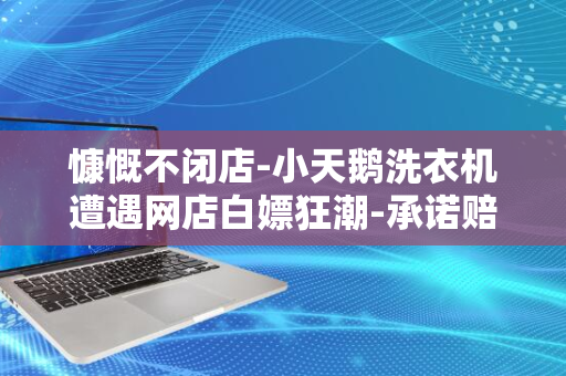 慷慨不闭店-小天鹅洗衣机遭遇网店白嫖狂潮-承诺赔付7000万损失